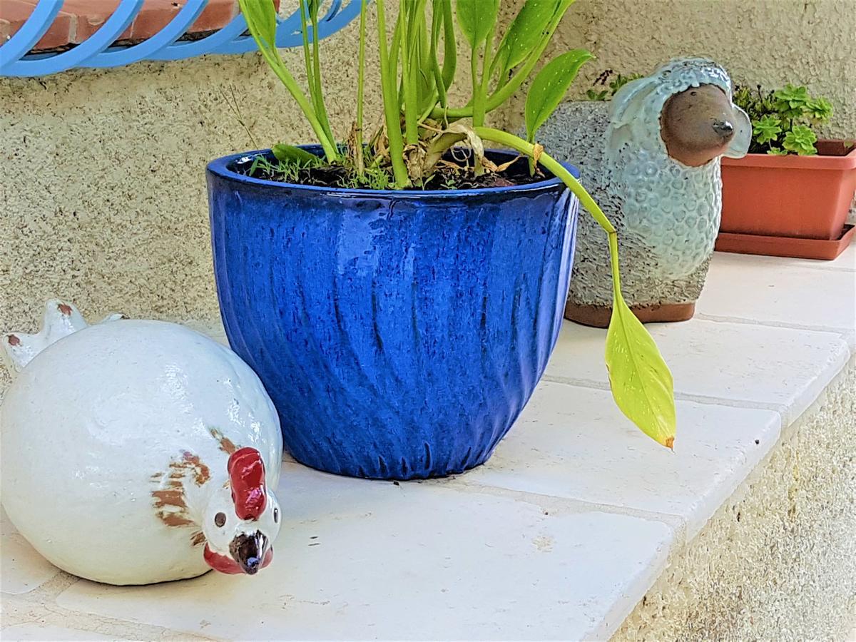 B&B With Charm, Quiet, Kitchen, Sw Pool. Γκρας Εξωτερικό φωτογραφία